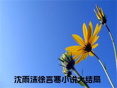 沈雨沫徐言寒小说大结局全文免费阅读-小说排行榜top1小说全文阅读