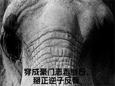 秦离南邵城（穿成豪门恶毒继母，掰正逆子反骨）全文免费阅读_（穿成豪门恶毒继母，掰正逆子反骨）秦离南邵城最新章节列表_笔趣阁
