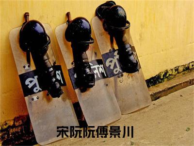 宋阮阮傅景川（宋阮阮傅景川）全文免费阅读无弹窗大结局_宋阮阮傅景川最新章节列表_笔趣阁