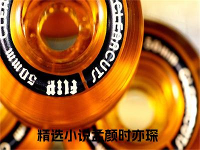 孟颜时亦琛书名是《孟颜时亦琛》在线赏析_孟颜时亦琛txt小说阅读_孟颜时亦琛在线阅读笔趣阁