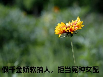 假千金娇软撩人，拒当冤种女配（苏莞江遇）全文免费阅读_（苏莞江遇）假千金娇软撩人，拒当冤种女配最新章节小说免费阅读_笔趣阁