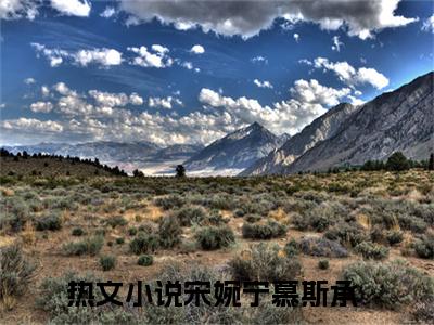 精选好书（宋婉宁慕斯承），宋婉宁慕斯承全文无删减版在线阅读