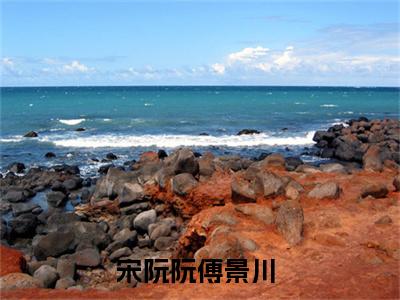 宋阮阮傅景川（宋阮阮傅景川）全文免费阅读无弹窗大结局_宋阮阮傅景川小说全文免费阅读最新章节列表_笔趣阁