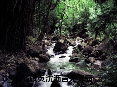 免费小说（苏以贞沈沥言）全文免费阅读无弹窗-苏以贞沈沥言小说全文在线赏析