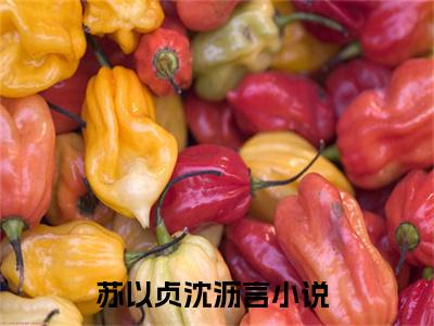 苏以贞沈沥言小说（苏以贞沈沥言）全文免费阅读无弹窗大结局_苏以贞沈沥言小说最新章节列表
