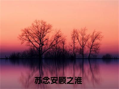 苏念安顾之淮（苏念安顾之淮）小说在线阅读_苏念安顾之淮全本免费小说阅读（苏念安顾之淮）