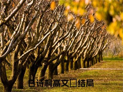 白诗桐高文玥（白诗桐高文玥）全文阅读-（白诗桐高文玥）小说免费阅读最新章节