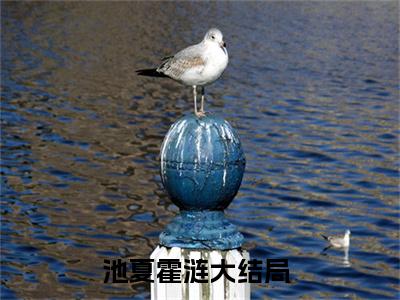 池夏霍涟全网首发小说- 池夏霍涟美文无删阅读