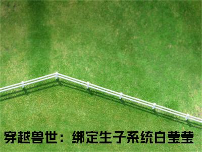 穿越兽世：绑定生子系统白莹莹小说（穿越兽世：绑定生子系统白莹莹）全文免费阅读结局-穿越兽世：绑定生子系统白莹莹全文完结版阅读