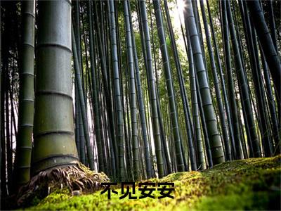 不见安安（程十安江序）高质量小说免费阅读-主角是不见安安的小说叫什么名字（程十安江序）