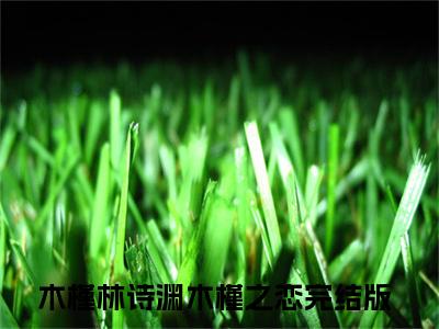 木槿林诗渊是什么小说，木槿林诗渊（木槿之恋）完整章节在线阅读
