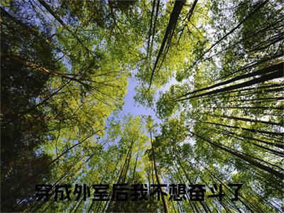 余枝闻九霄小说最新章节在线阅读_余枝闻九霄在线阅读