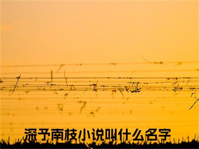 傅润深南枝（深予南枝）小说免费阅读完结版-傅润深南枝小说全文免费阅读