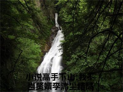 高手下山:我不当赘婿李沐尘（大结局小说全集完整版）高手下山:我不当赘婿李沐尘小说_高手下山:我不当赘婿李沐尘全文阅读笔趣阁