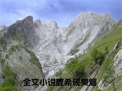 鹿希砚樊烟（鹿希砚樊烟）全文免费阅读无弹窗大结局_(鹿希砚樊烟)最新章节列表_笔趣阁