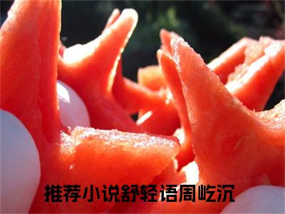 舒轻语周屹沉（舒轻语周屹沉）全文免费阅读无弹窗大结局_舒轻语周屹沉最新章节列表_笔趣阁（舒轻语周屹沉）