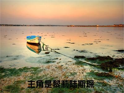 黎莉陆斯琛全文免费阅读无弹窗大结局_黎莉陆斯琛全文免费无弹窗最新章节列表_笔趣阁