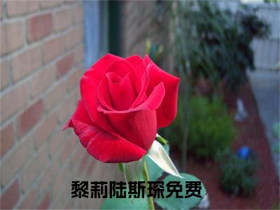 黎莉陆斯琛最新章节（黎莉陆斯琛免费阅读）-黎莉陆斯琛小说在线阅读完整版