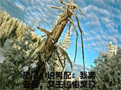 抖音新书热荐小说（男配：我离去后，女主追悔莫及安然）主角是（男配：我离去后，女主追悔莫及安然）小说免费阅读小说无弹窗阅读_笔趣阁