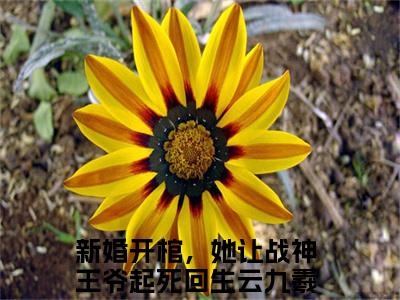 新婚开棺，她让战神王爷起死回生云九羲免费小说（新婚开棺，她让战神王爷起死回生云九羲）小说免费阅读无弹窗大结局_新婚开棺，她让战神王爷起死回生云九羲小说全集最新章节列表_笔趣阁(新婚开棺，她让战神王爷起死回生云九羲)