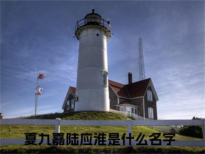 男女主人公夏九嘉陆应淮小说夏九嘉陆应淮全文免费阅读