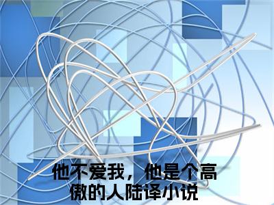 他不爱我，他是个高傲的人陆译最新章节在线阅读-小说全文阅读