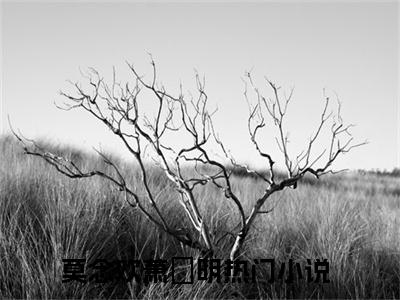 莫念欢萧旻明完整版（莫念欢萧旻明小说）全文免费阅读无弹窗大结局_莫念欢萧旻明最新章节（莫念欢萧旻明全文）
