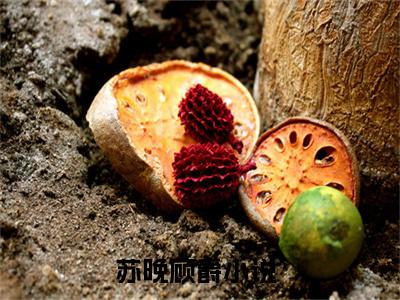 白天被逃婚晚上被奶凶指挥官求抱抱全文免费免费阅读无弹窗最新章节列表_笔趣阁（苏晚顾爵全文免费）