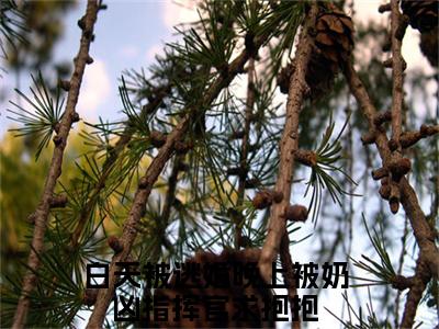 （免费）+（结局）苏晚顾爵美文欣赏完整版，白天被逃婚晚上被奶凶指挥官求抱抱精彩章节在线阅读