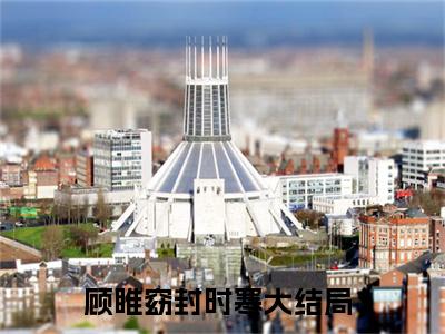 顾睢窈封时寒小说最新章节（顾睢窈封时寒）全文免费阅读无弹窗大结局_顾睢窈封时寒免费阅读（顾睢窈封时寒小说）