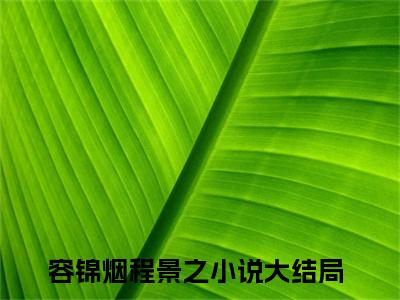 容锦烟程景之的小说全文免费阅读无弹窗，容锦烟程景之的小说在线免费阅读大结局