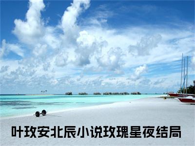 叶玫安北辰（玫瑰星夜）全文免费阅读无弹窗完整版，（叶玫安北辰）免费阅读全文最新章节列表_笔趣阁