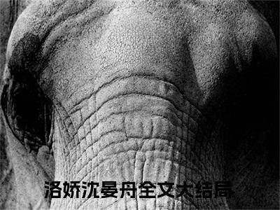 洛娇沈晏舟小说免费在线阅读无弹窗-主角是洛娇沈晏舟的小说