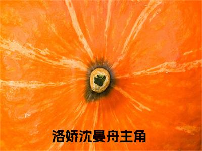洛娇沈晏舟（洛娇沈晏舟）小说大结局-小说（洛娇沈晏舟）免费阅读洛娇沈晏舟