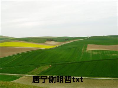 唐宁谢明哲（唐宁谢明哲）全文免费阅读无弹窗大结局_唐宁谢明哲最新章节列表_笔趣阁（唐宁谢明哲）