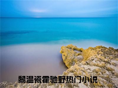 黎温瓷霍驰野小说（黎温瓷霍驰野）全文免费阅读无弹窗大结局_黎温瓷霍驰野小说最新章节列表_笔趣阁（黎温瓷霍驰野）