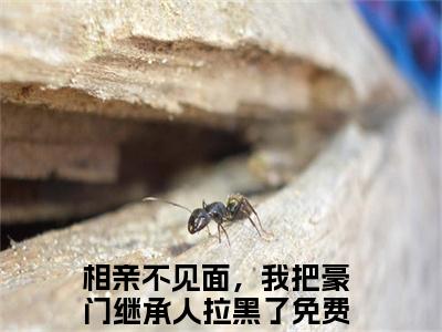 （番外）+（全文）相亲不见面，我把豪门继承人拉黑了（从容霍霆琛）精彩小说-小说从容霍霆琛全文无删减版免费阅读