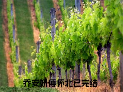 乔安妍傅怀北全文免费阅读大结局_乔安妍傅怀北已完结全集乔安妍傅怀北大结局小说