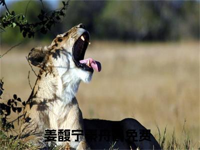 姜馥宁秦舟鹤豪门小说《姜馥宁秦舟鹤》最新章阅读-姜馥宁秦舟鹤小说今日更新