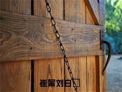崔甯刘白玦全文免费阅读无弹窗大结局_(崔甯刘白玦小说)崔甯刘白玦无弹窗最新章节列表