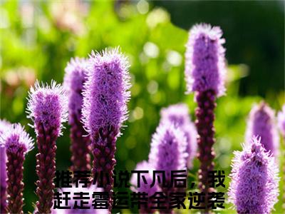 下凡后，我赶走霉运带全家逆袭（珠珠邰继祖）全文免费阅读无弹窗-珠珠邰继祖主角叫下凡后，我赶走霉运带全家逆袭的小说全章节免费阅读