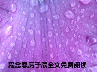 超多人求的小说（程念恩厉子辰）在哪里看免费的程念恩厉子辰精彩阅读