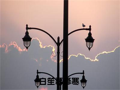 白笙慕修寒无删版小说阅读-白笙慕修寒全文无弹窗试读