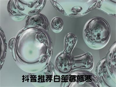 白笙慕修寒阅读无弹窗大结局_白笙慕修寒穿越小说免费阅读_笔趣阁