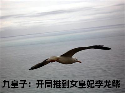 (九皇子：开局推到女皇妃李龙鳞)九皇子：开局推到女皇妃李龙鳞小说免费九皇子：开局推到女皇妃李龙鳞读无弹窗最新章节列表_笔趣阁（九皇子：开局推到女皇妃李龙鳞）