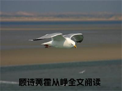 顾诗荑霍从峥（顾诗荑霍从峥）全文免费阅读无弹窗大结局_顾诗荑霍从峥完本小说最新章节阅读