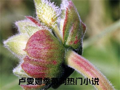 卢雯娜季萧昀（卢雯娜季萧昀）全文阅读-最火热点小说卢雯娜季萧昀最新更新