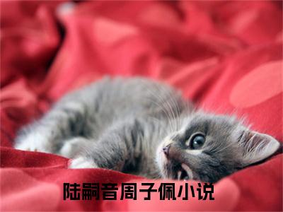 陆嗣音周子佩（陆嗣音周子佩）全文免费阅读无弹窗大结局_（陆嗣音周子佩）陆嗣音周子佩全文最新章节列表_笔趣阁（陆嗣音周子佩）