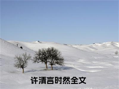 许清言时然免费阅读目录 许清言时然小说全文