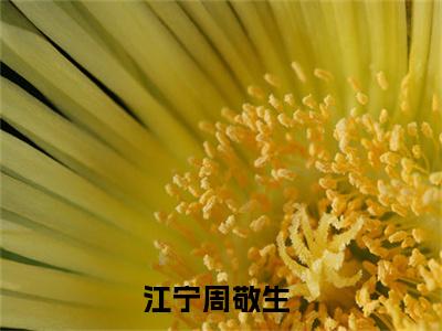 江宁周敬生在线阅读小说推荐-江宁周敬生免费阅读全文